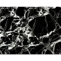 Πάνελ Τοίχου Black Ice [2.8×1.2m]