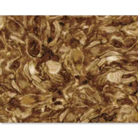 Πάνελ Τοίχου Burning Flames [2.8×1.2m]