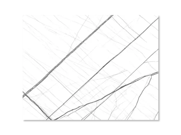 Πάνελ Τοίχου White Spider [2.8×1.2m]