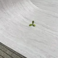 Πάνελ Τοίχου Flexible Travertine Milan Grey [1.2×0.6m]