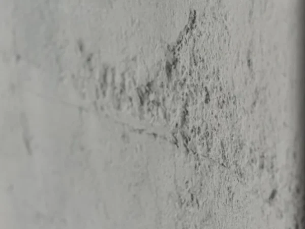 Πάνελ Τοίχου Flexible Concrete Board [3×1.2m]